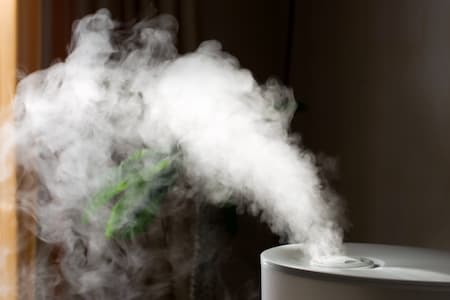 Humidifiers & Dehumidifiers